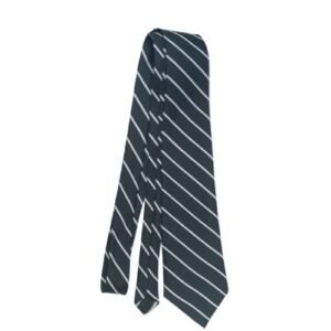Striped School Tie